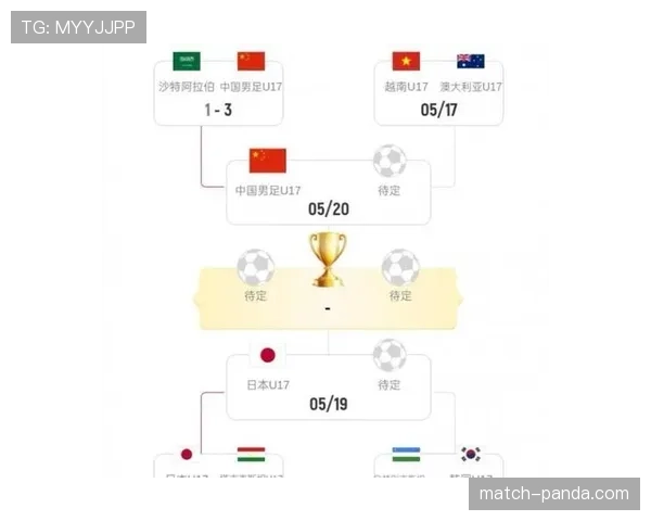 沙特冲击2026世界杯:出线前景、阵容解析与小组对手分析 沙特冲击2026世界杯:出线前景、阵容解析与小组对手分析