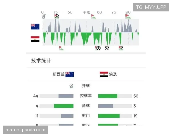 埃及1-1伊朗：世界杯G组末轮战报